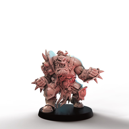 Stormcoast Marauders Players