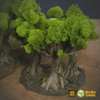 Set of Six Ancient Trees in Jungle Temple Ruins