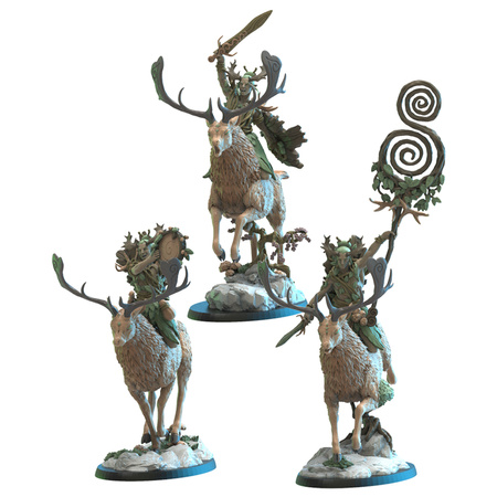 Shika Riders with Command Group