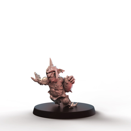 Stormcoast Marauders Players