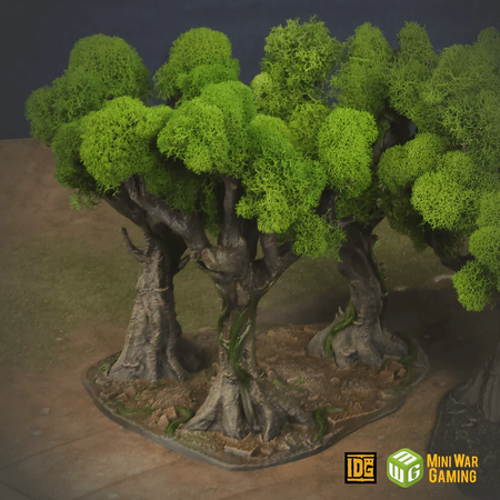Set of Six Ancient Trees in Jungle Temple Ruins