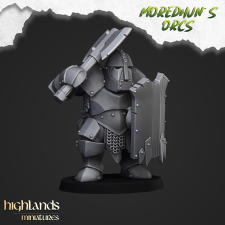 Armoured Orcs (shields & hand weapons)