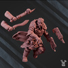 Vultures Gang commander