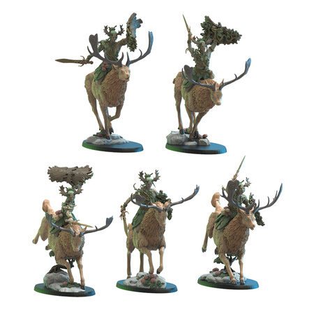 Shika Riders with Command Group