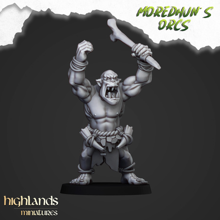 Cave Orcs (shields & hand weapons)