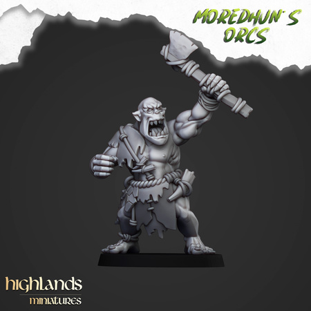 Cave Orcs with Command Group (shields & hand weapons)