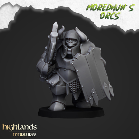 Armoured Orcs (shields & hand weapons)