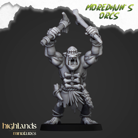 Cave Orcs with Command Group (shields & hand weapons)