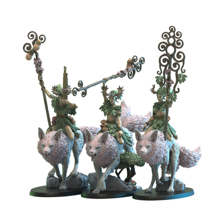 Nibi Raiders with Command Group