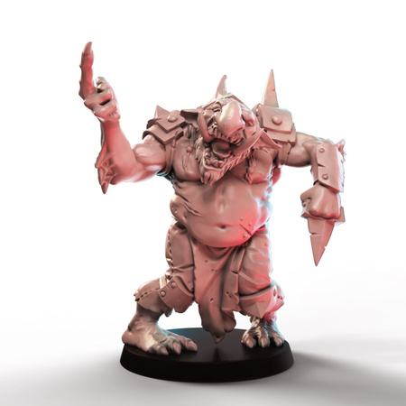 Stormcoast Marauders Players