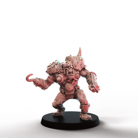 Stormcoast Marauders Players