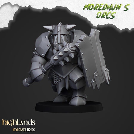 Armoured Orcs (shields & hand weapons)