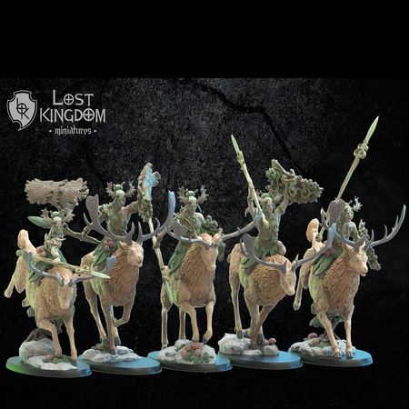 Shika Riders with Command Group